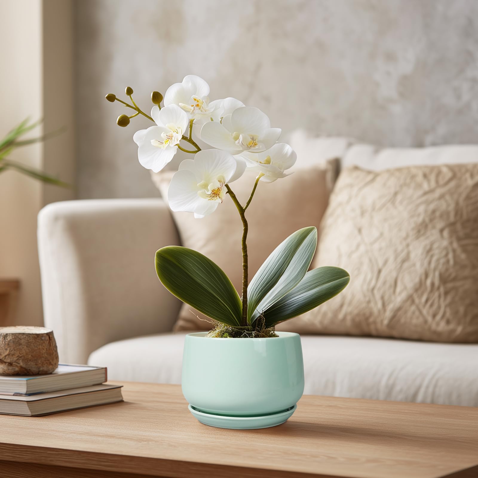 G EPGardening maceta en mano para apreciar tamaño ideal para suculentas