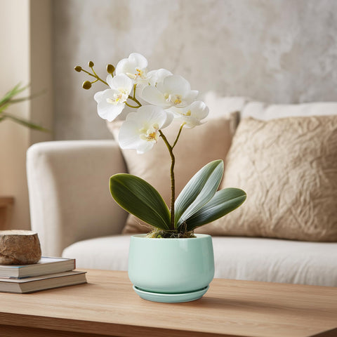 G EPGardening maceta en mano para apreciar tamaño ideal para suculentas