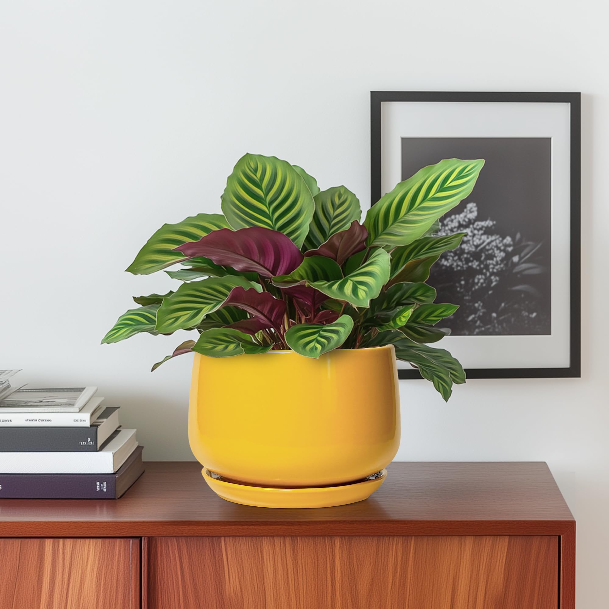 G EPGardening detalle esmaltado cerámico brillo y limpieza fácil