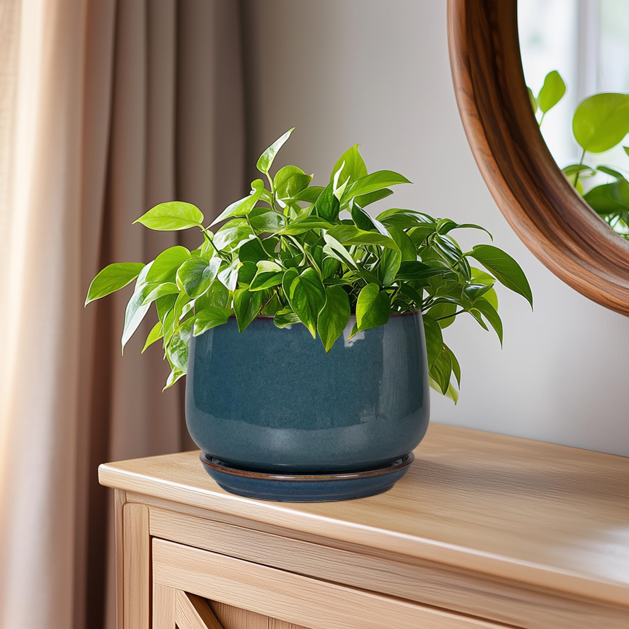 G EPGardening vista superior enseña espacio para planta y estética curva