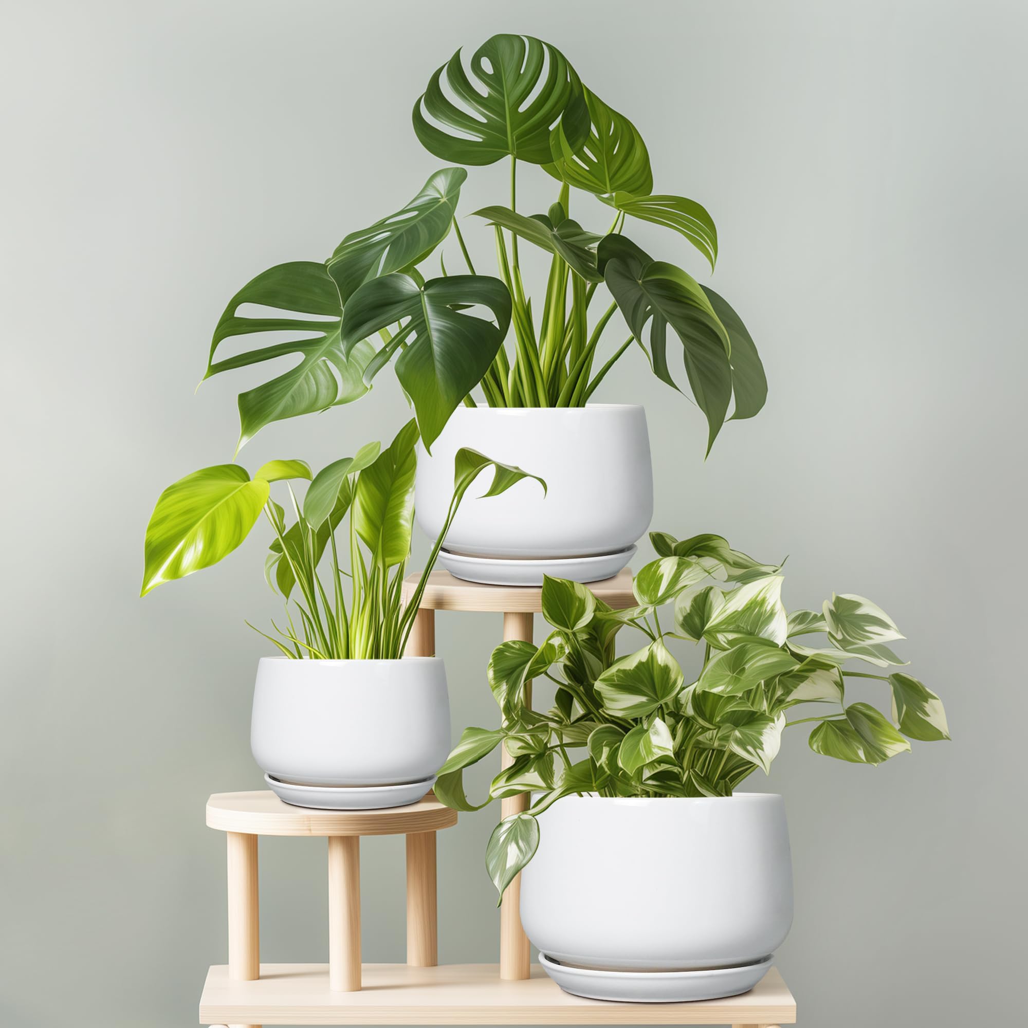 G EPGardening embalaje y etiqueta listos para regalo con presentación cuidada