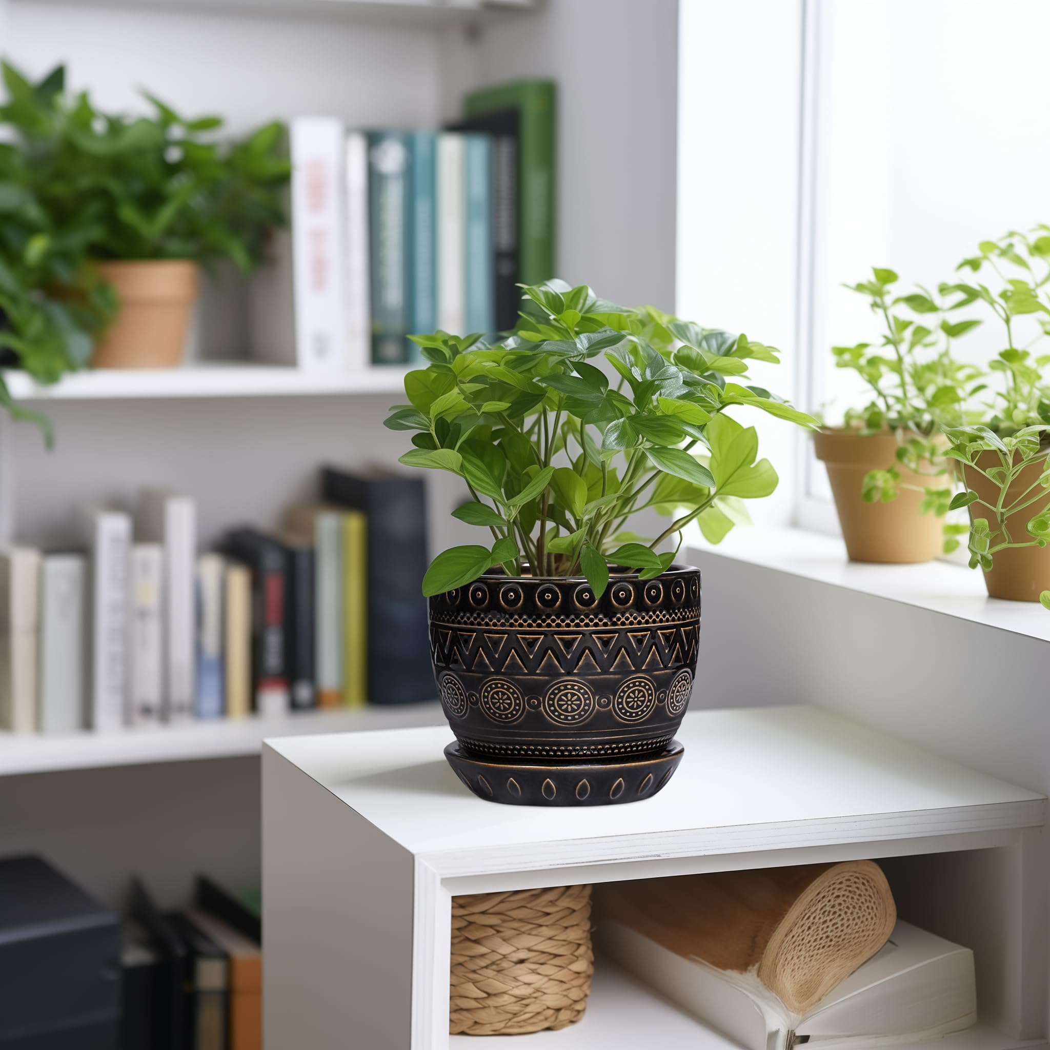 G EPGardening detalle de textura cerámica negra, aspecto duradero