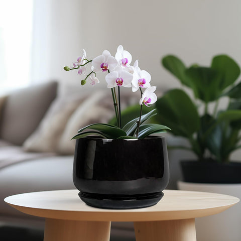 G EPGardening detalle del esmalte cerámico, acabado duradero y suave