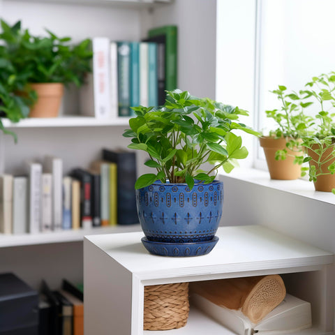 G EPGardening primer plano del esmalte cerámico que resalta textura resistente