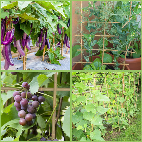 GAGINANG estacas integradas en jardín creando apariencia ordenada y sostenible