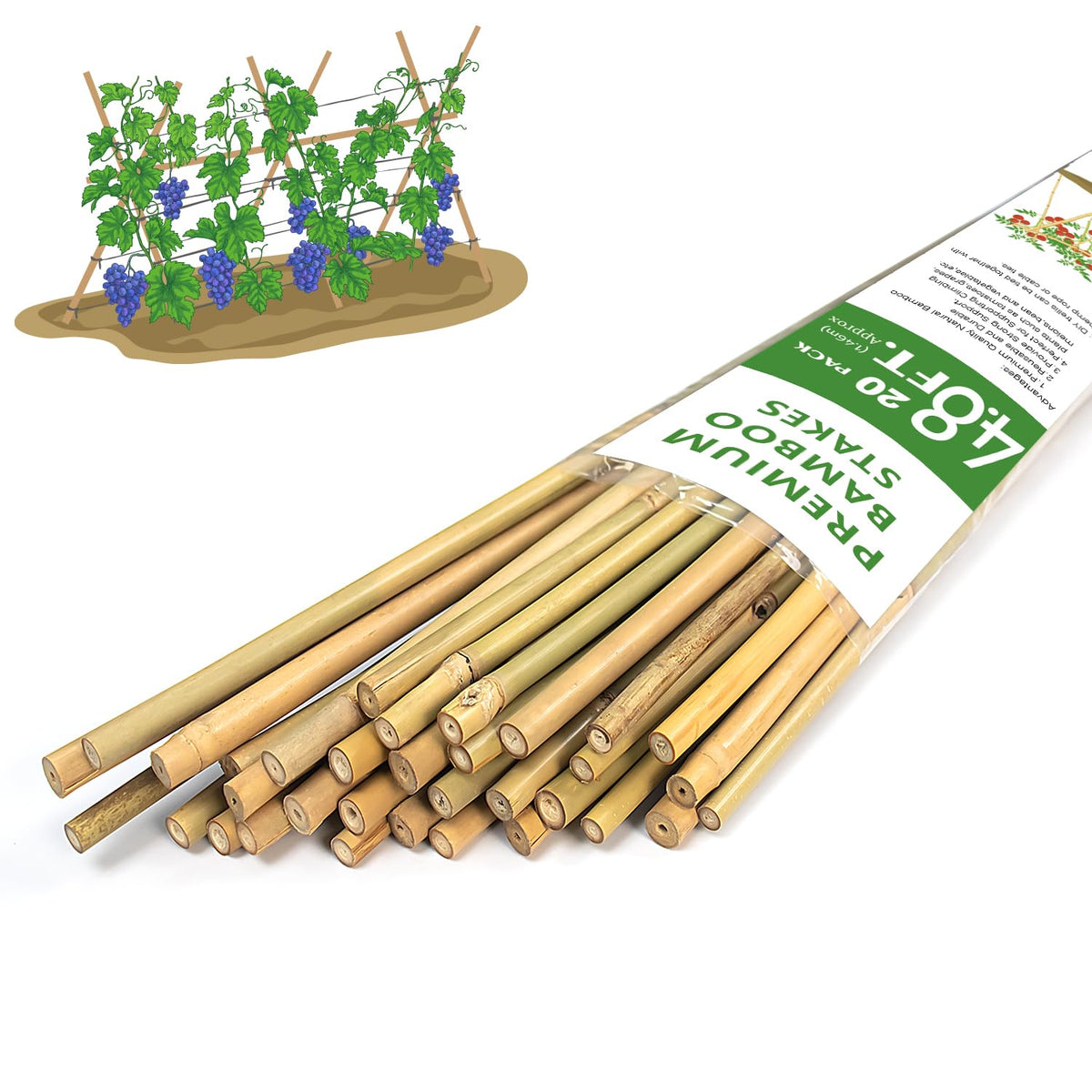 GAGINANG pack de estacas de bambú frente, soporte duradero para plantas