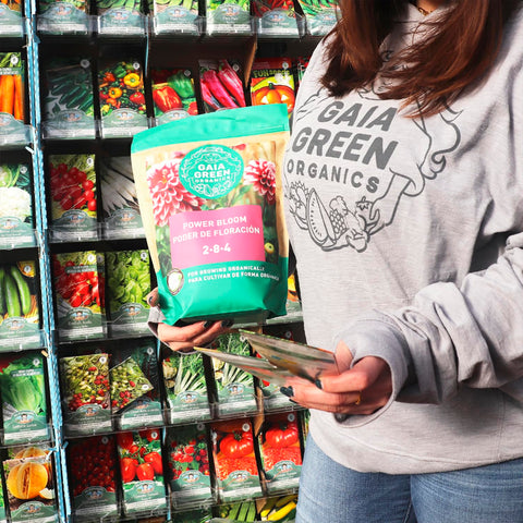 Gaia Green fertilizante en uso aplicándose a maceta para mayor floración y raíces fuertes