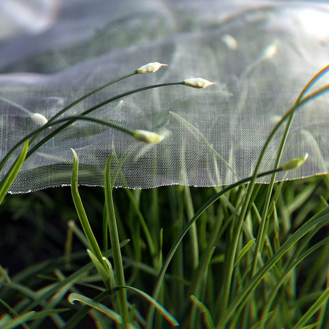 Garden Tailor usada sobre frutales pequeños protegiendo cosecha y flores