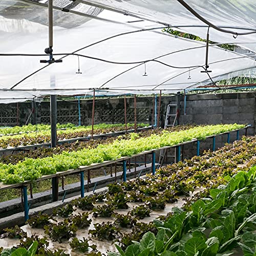 Garden Tailor cubriendo lechugas y fresas con barrera contra insectos