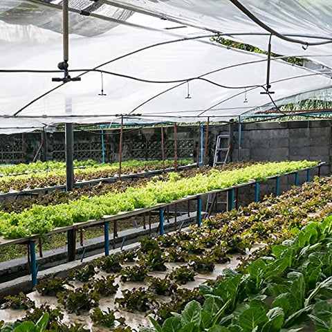 Garden Tailor cubriendo lechugas y fresas con barrera contra insectos