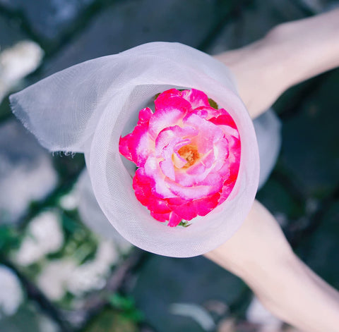Garden Tailor malla instalada en túnel hortícola protegiendo plantas jóvenes
