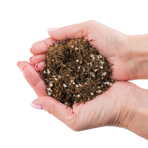 Gardenera comparación de tamaño del paquete 3 qt junto a una maceta para referencia