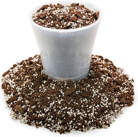 Gardenera ambiente de balcón con Aloe Vera para cultivo cómodo en casa