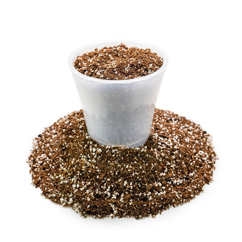 gardenera bolsa en invernadero, favorece cultivo estable de carnívoras