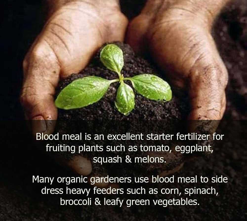 Gardenera producto en ambiente de jardín estimulando salud vegetal