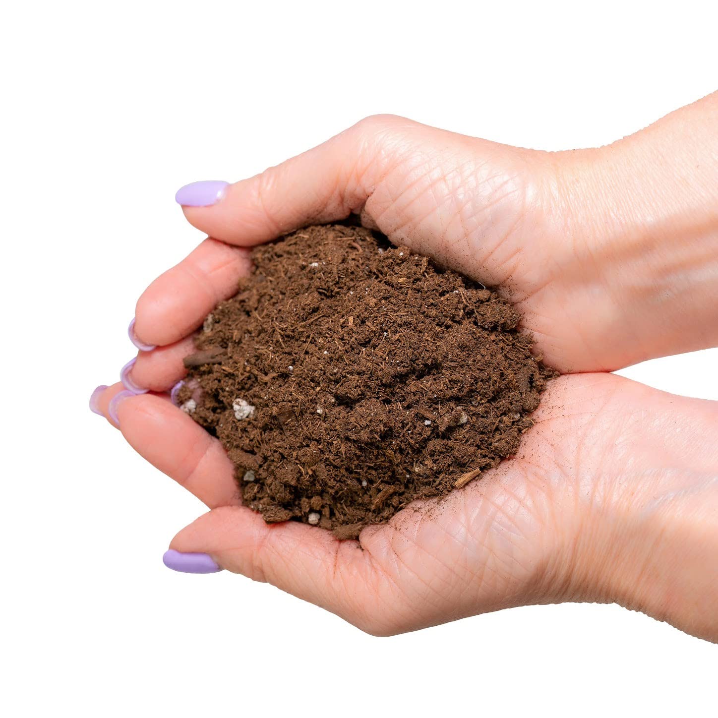 Gardenera mezcla en decoración interior beneficiando estética y salud
