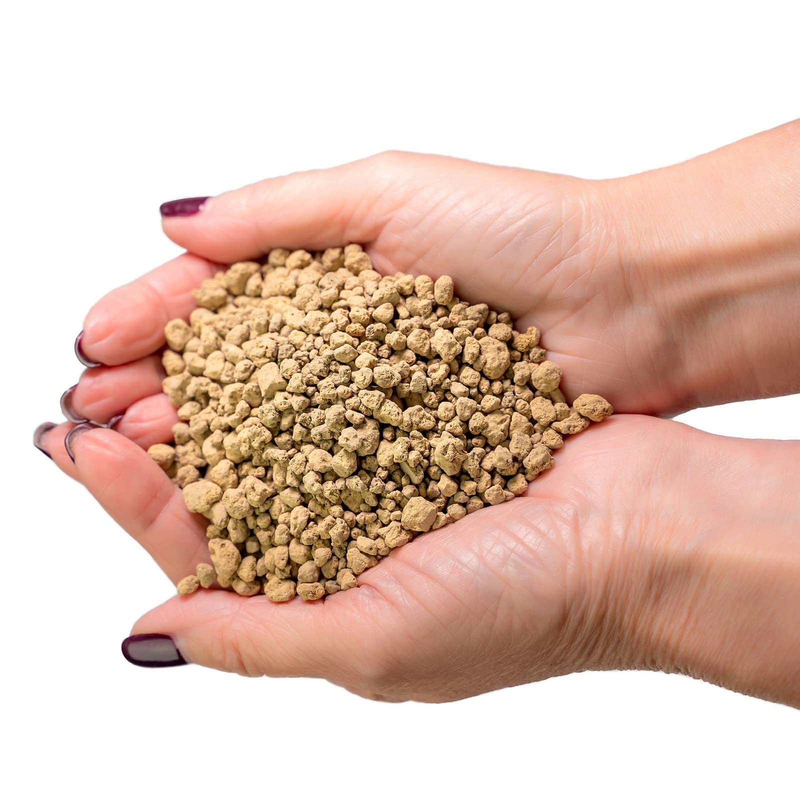 Gardenera bolsa de 1 quart junto a una regla para referencia de tamaño