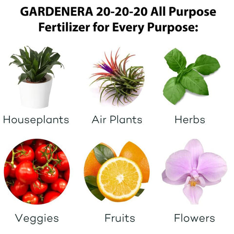 Gardenera aplicación en césped mostrando cobertura y vigor del pasto