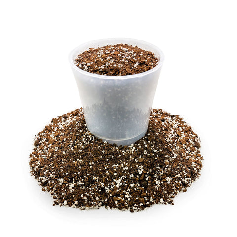 Gardenera bolsa 4 quart junto a objetos para comparar tamaño y practicidad