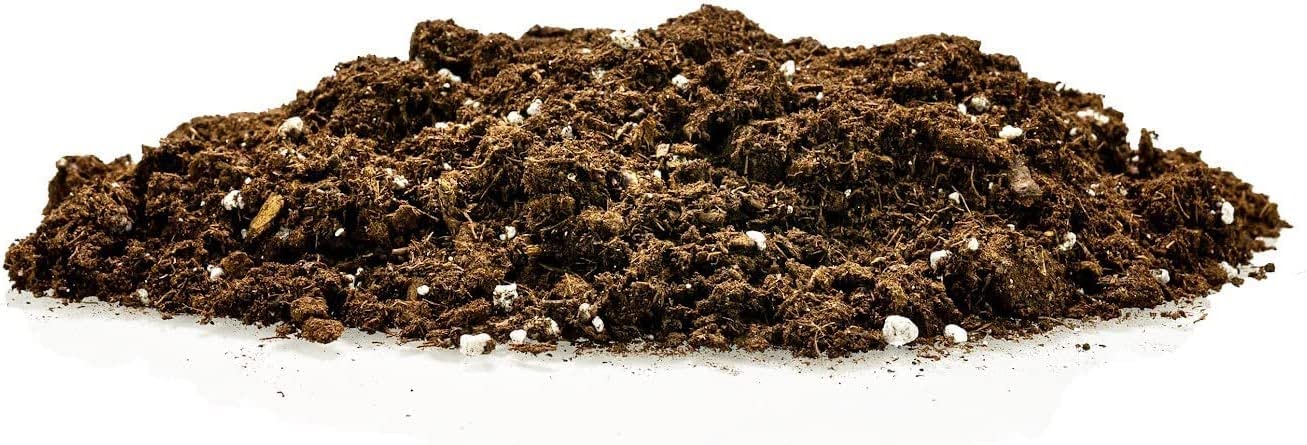 Gardenera comparación tamaño cuarto bolsa junto a maceta para referencia de cantidad