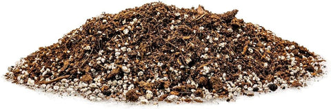 gardenera volumen en maceta pequeña para comparar escala y manejo fácil