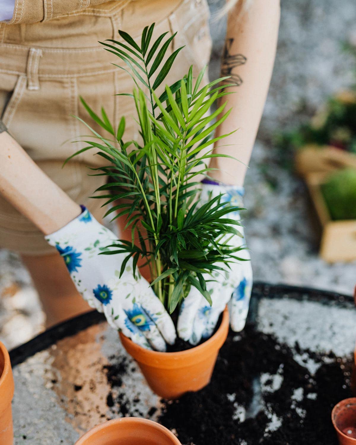 Gardenera bolsa junto a una mano para comparar tamaño