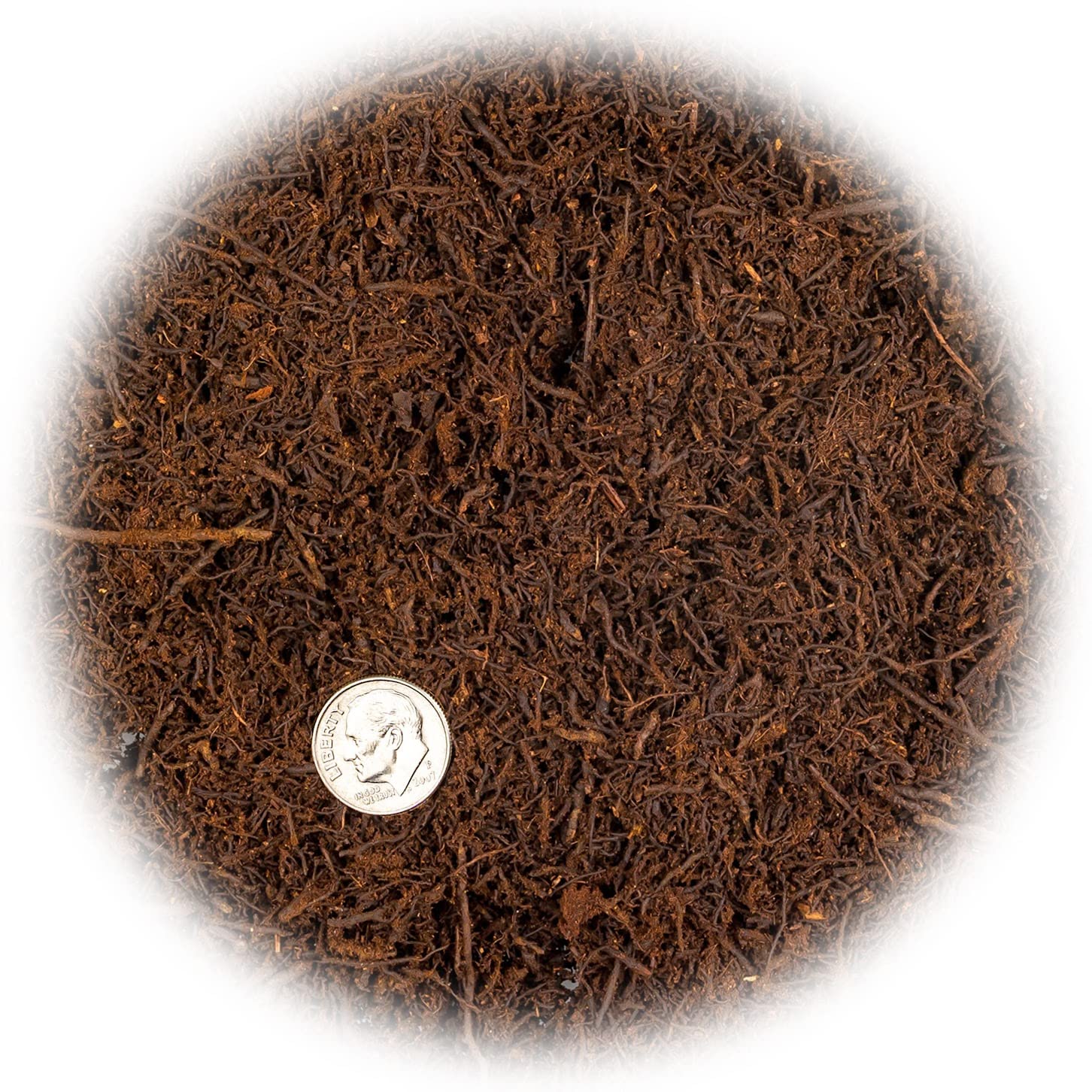 Gardenera fibras esponjosas del tree fern destacando estructura aireada beneficiosa