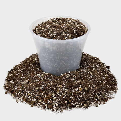 Gardenera sustrato en maceta con violeta africana para enraizamiento rápido