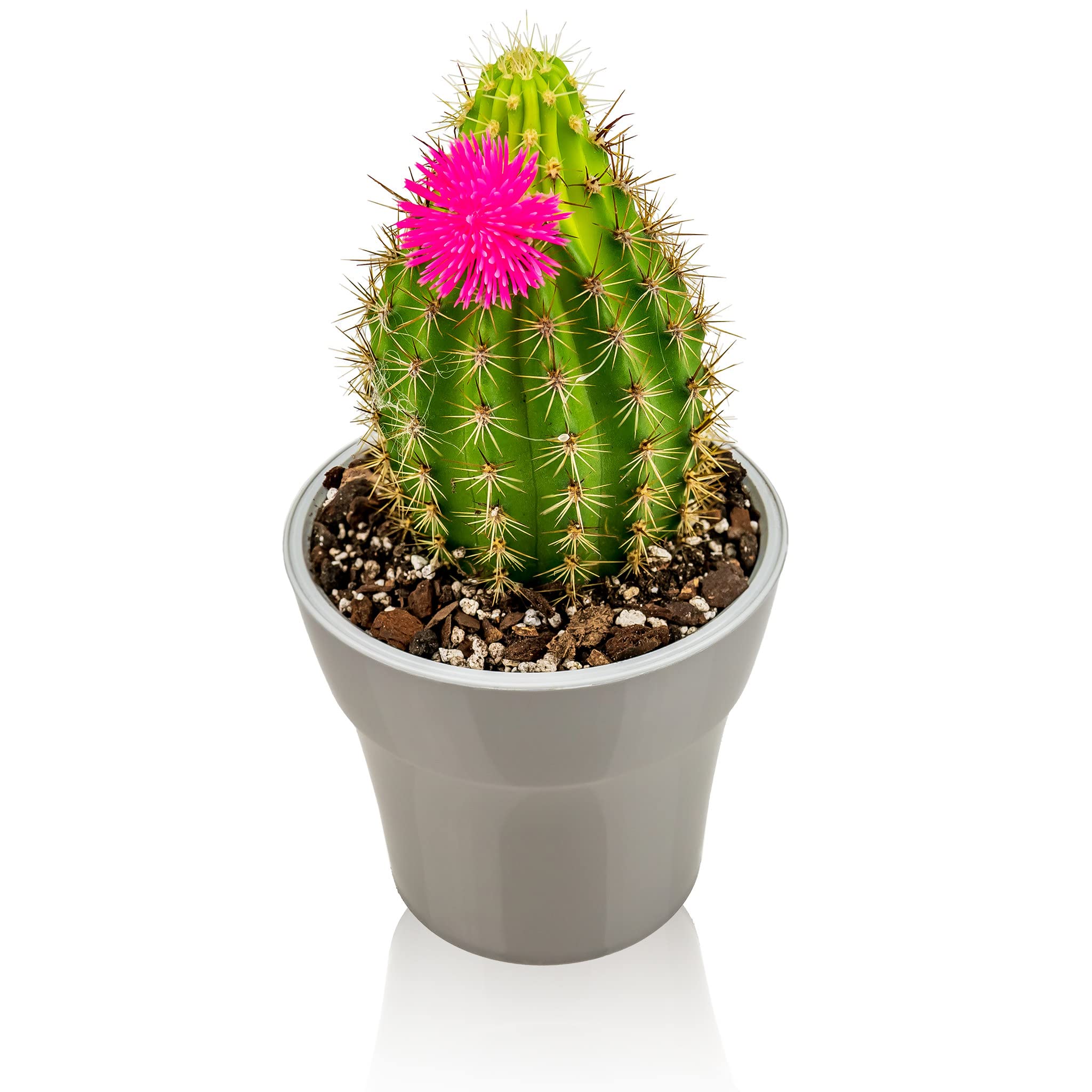 Gardenera etiqueta informativa con composición 50% corteza, 30% turba, 20% perlita