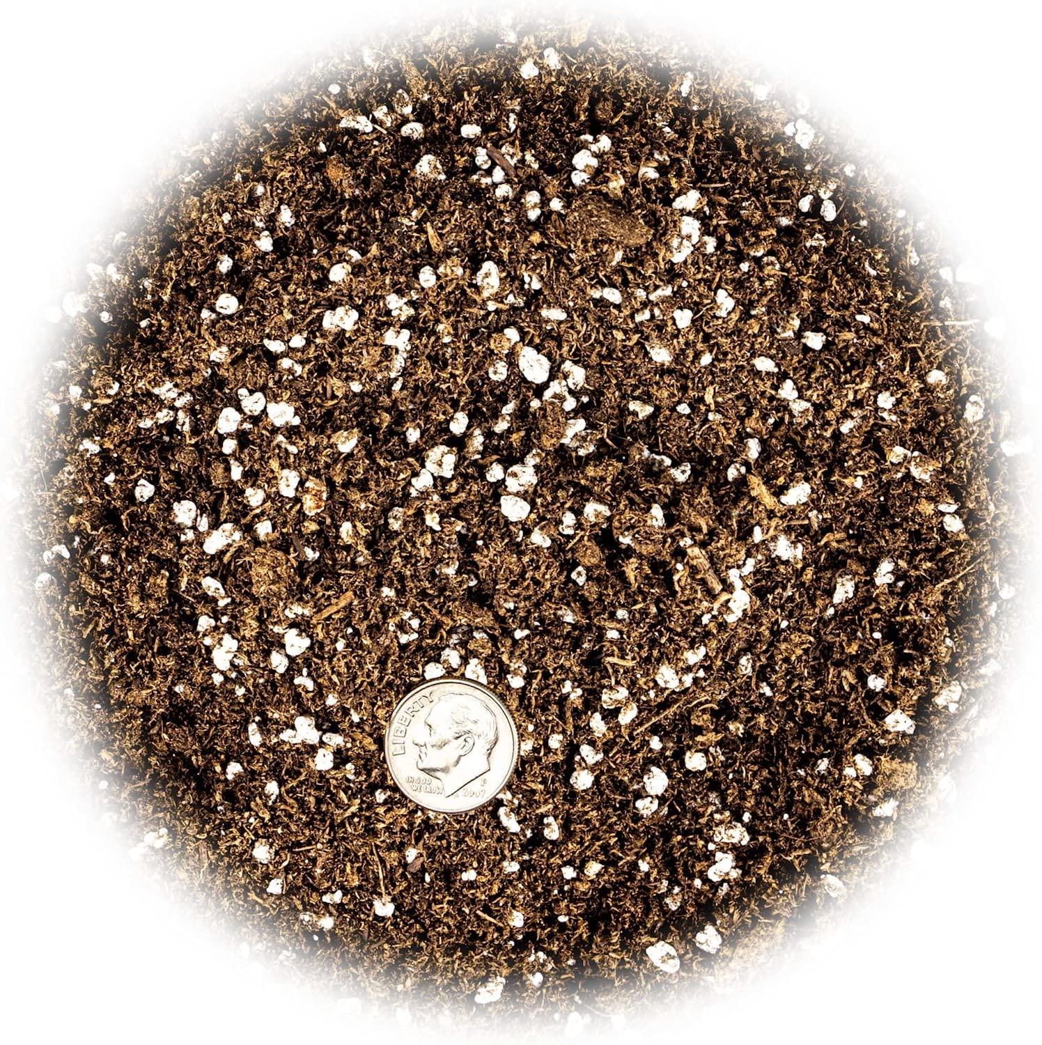 GARDENERA mezcla en maceta con planta jade demostrando crecimiento saludable