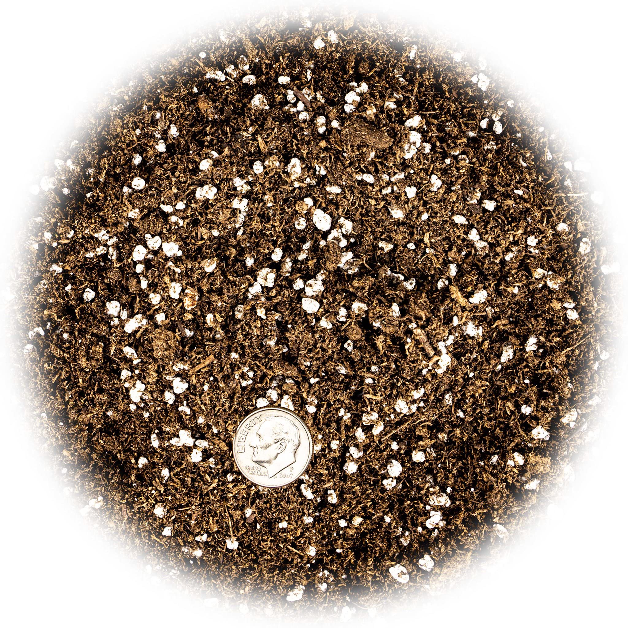 Gardenera mezcla en maceta con suculentas plantadas que favorece raíces saludables