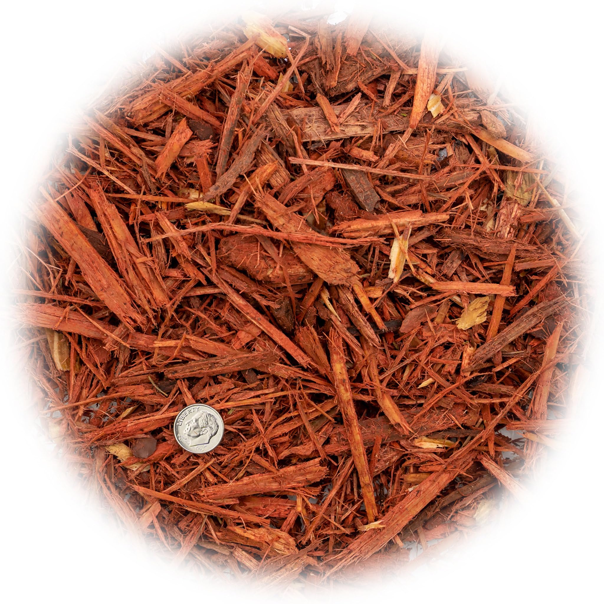 Gardenera textura cercana del mulch rojo que mejora retención de humedad