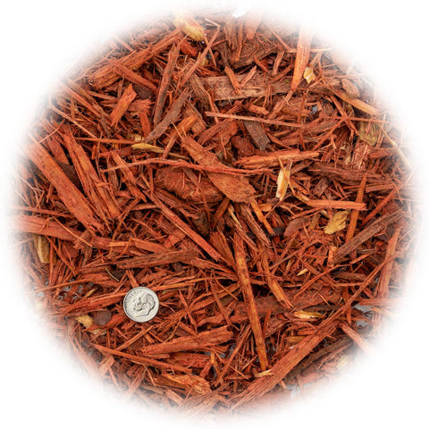 Gardenera textura cercana del mulch rojo que mejora retención de humedad