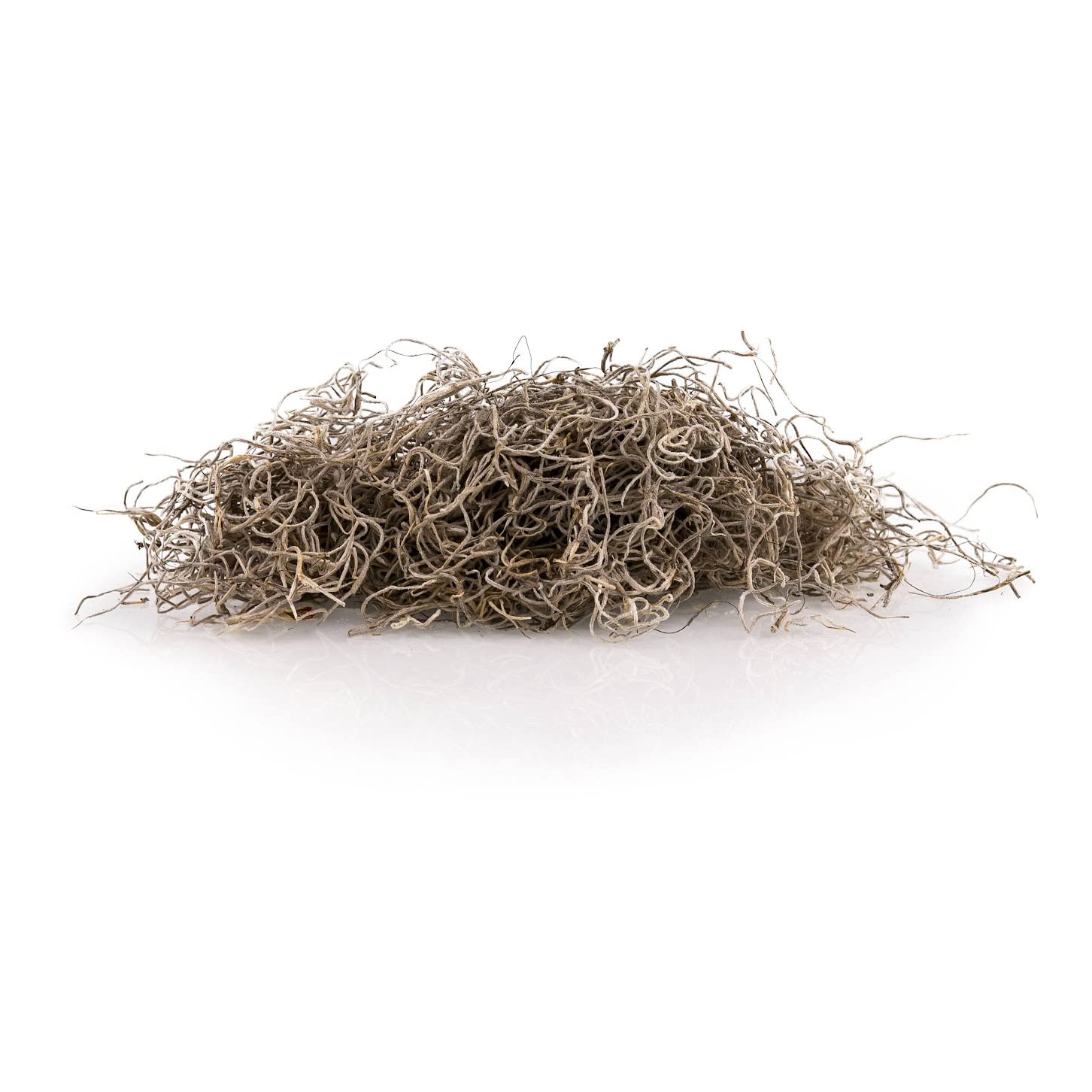 Gardenera musgo español en liner de cesta colgante práctico
