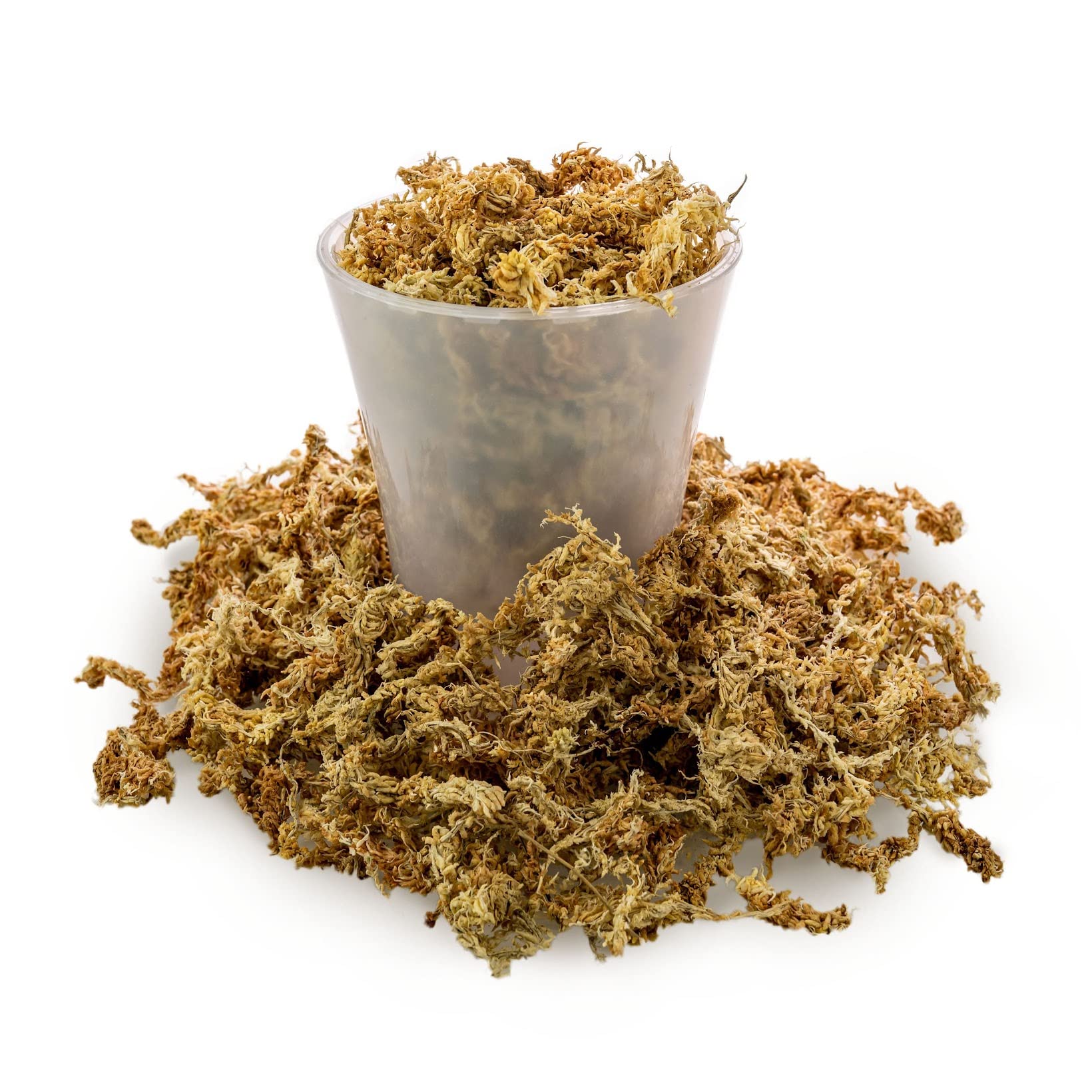 Gardenera musgo forrando una cesta colgante ofreciendo aspecto natural y soporte radicular
