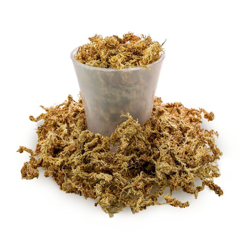 Gardenera musgo forrando una cesta colgante ofreciendo aspecto natural y soporte radicular
