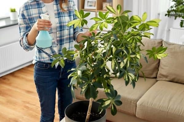Gardenera textura cercana de la mezcla que destaca aireación y retención de humedad