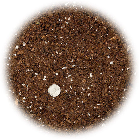 Gardenera textura cercana de la tierra con perlita para mejor drenaje
