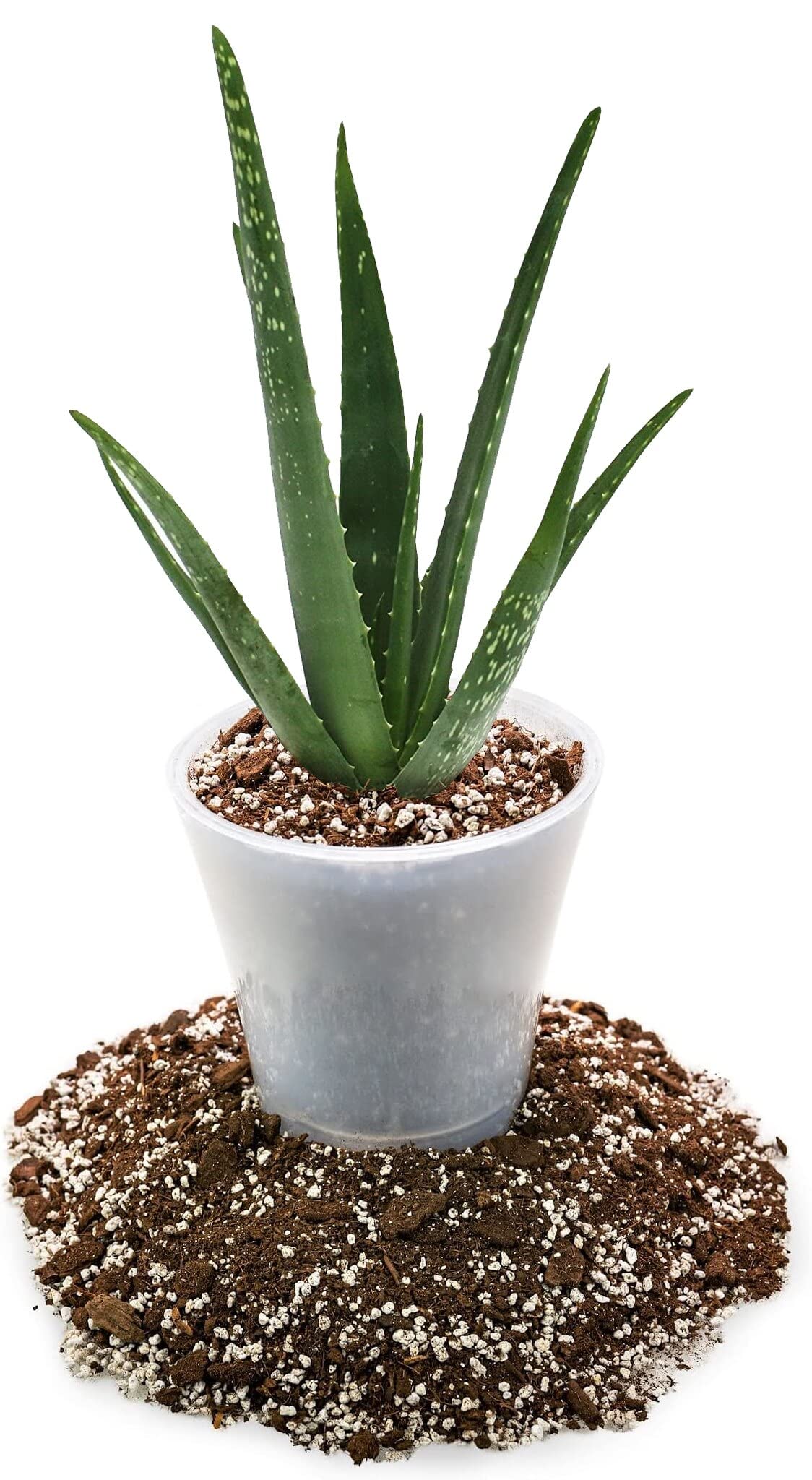 Gardenera textura de sustrato vista cercana con perlite para mejor aireación