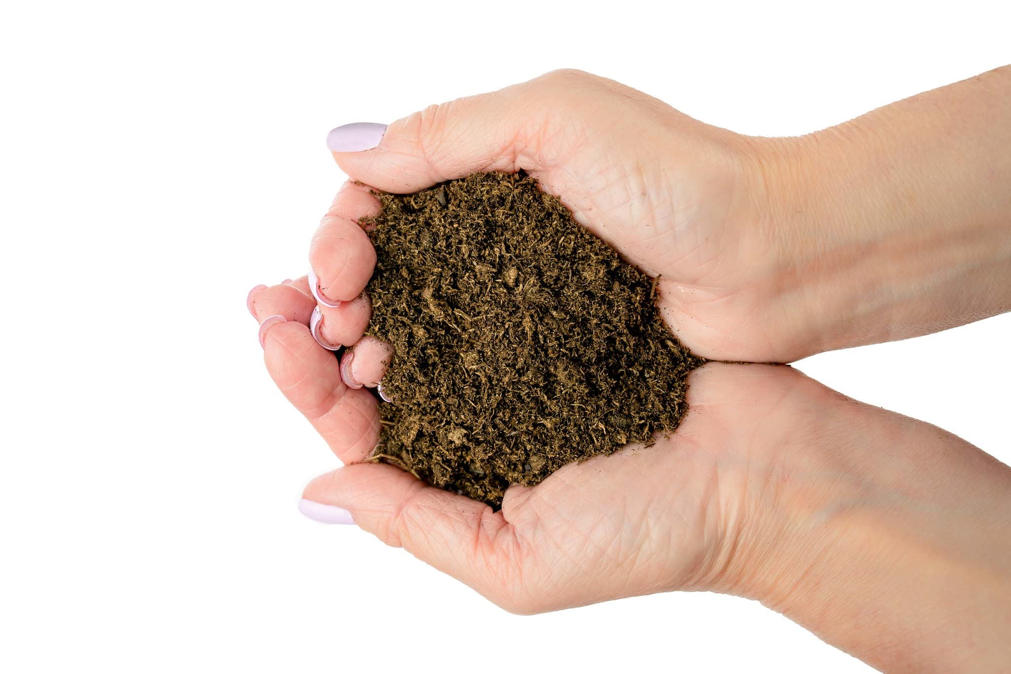 Gardenera turba en maceta con planta, beneficio: mejora aireación y raíces