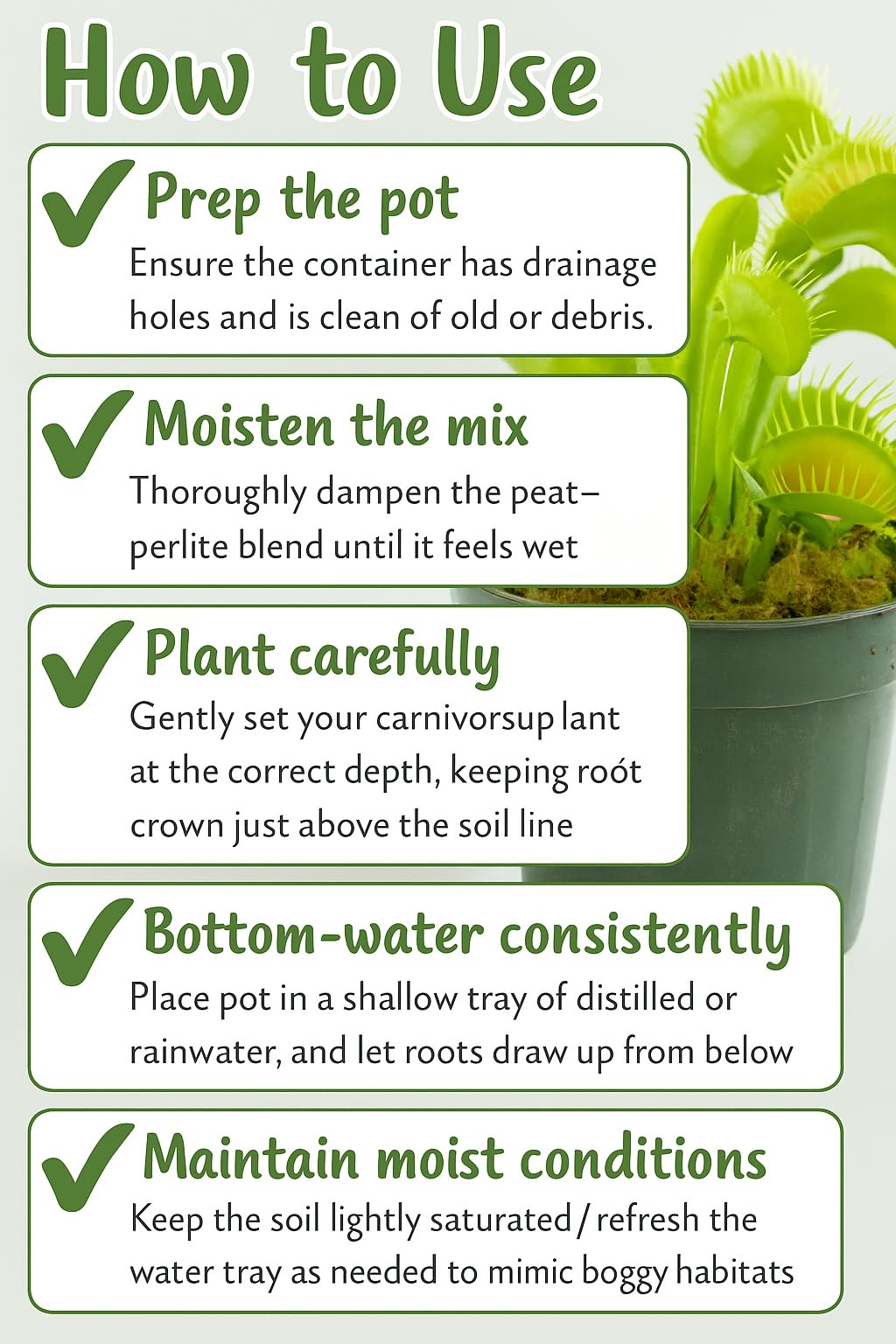 GARDENERA mezcla usada en una Venus flytrap para crecimiento adecuado