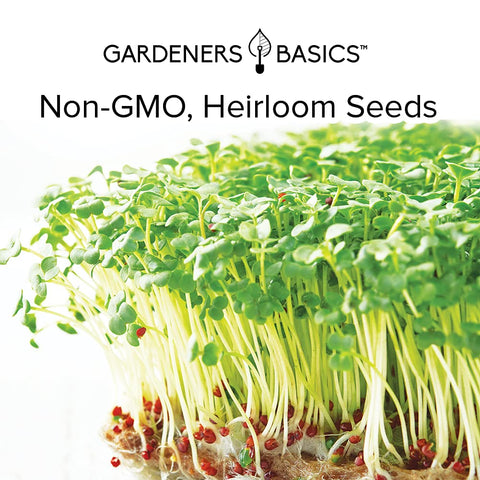 Gardeners Basics brotes en ensalada añadiendo sabor y nutrición