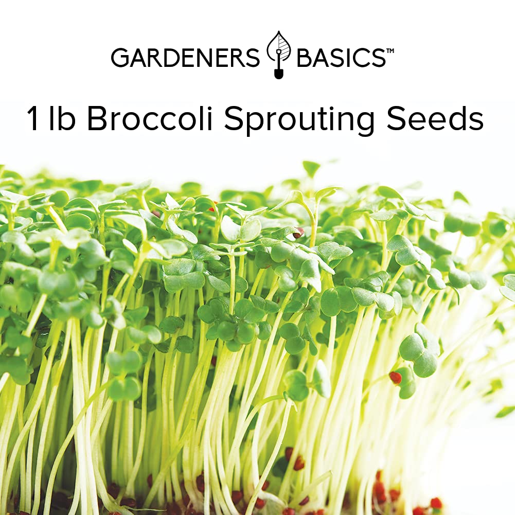 Gardeners Basics microgreens en bandeja cosechados para cocinar