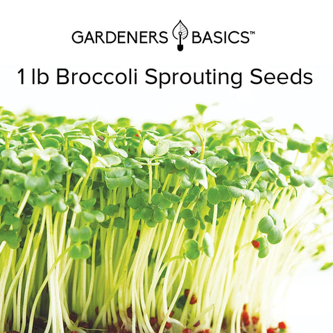 Gardeners Basics microgreens en bandeja cosechados para cocinar