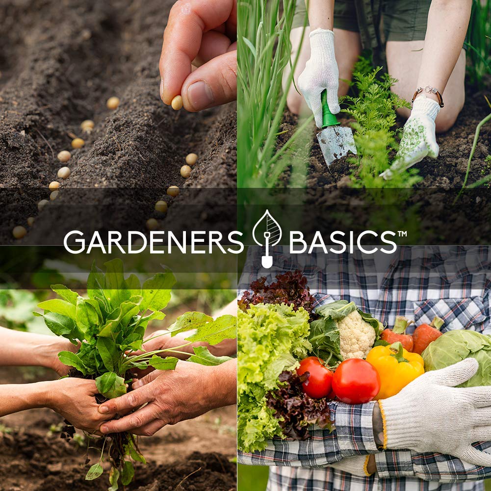 Gardeners Basics siembra en maceta demostrando uso en espacios reducidos