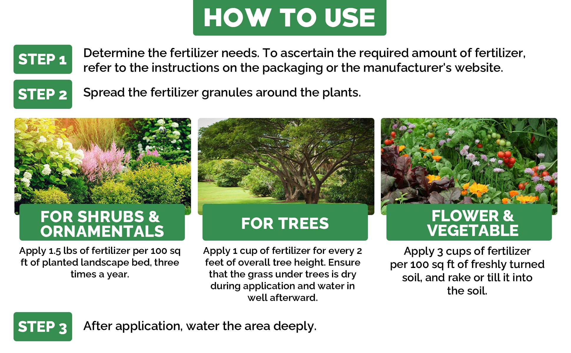 Gardenwise en ambiente interior con plantas saludables y aspecto limpio