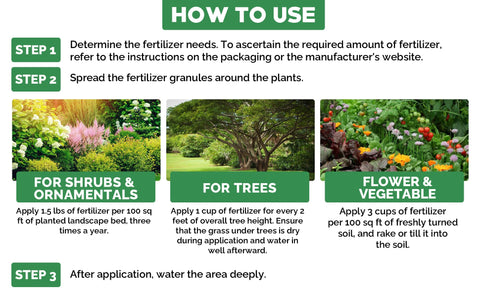 Gardenwise en ambiente interior con plantas saludables y aspecto limpio