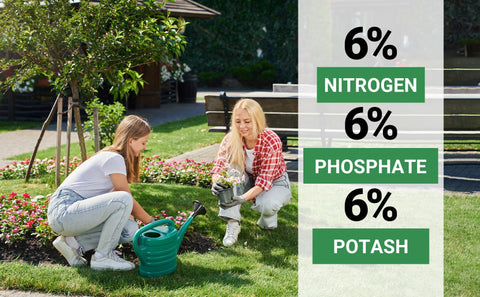 Gardenwise aplicado en maceta demostrando nutrición visible y vigor