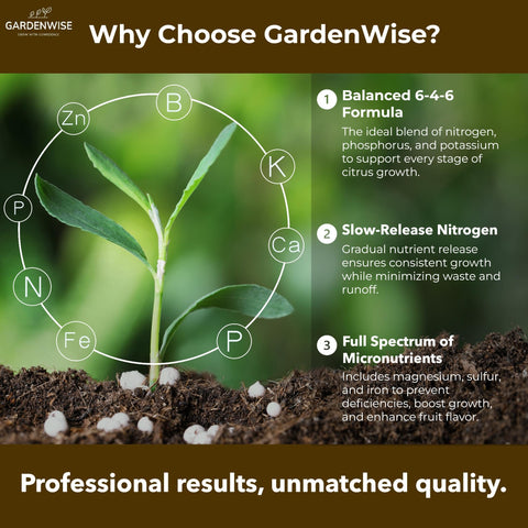 GARDENWISE aplicación en maceta para resultados visibles