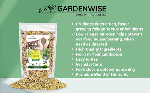 Gardenwise aplicación en maceta para palmera destacando crecimiento